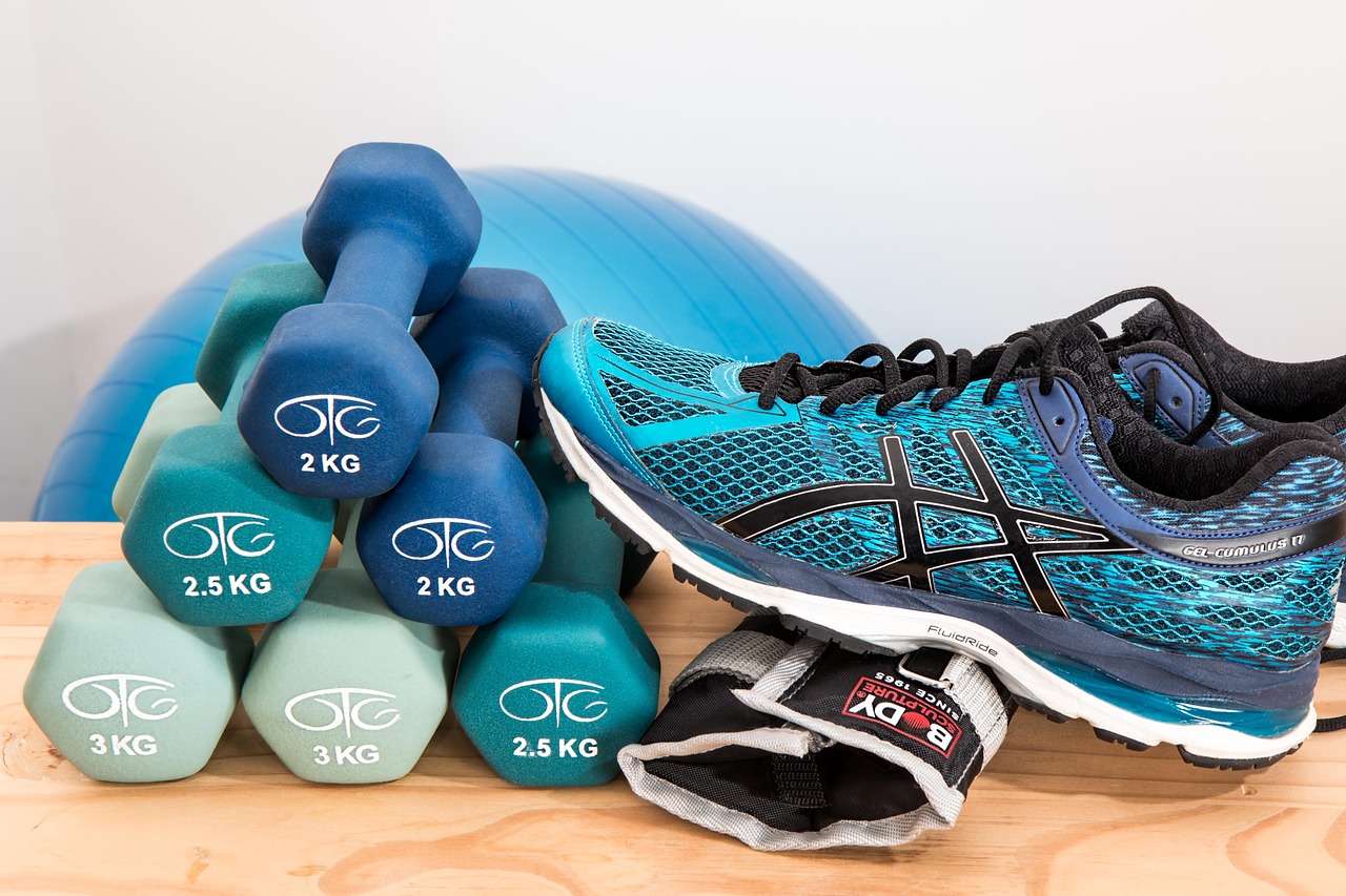 Marketing digital para academias em São Paulo - equipamentos de musculação em academia moderna