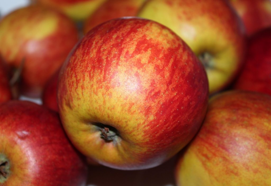 Frutas frescas que representam o consultório de nutrição – marketing digital para nutricionistas em São Paulo